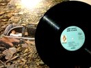 Rare First Jimmy Buffett Vinyl LP: Down to Earth; Orig 1970 Barnaby 30093; MINT-