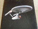 Star Trek 50th Anniversary Starfleet Insignia Die-Cut Vinyl 12