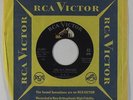 R&B Mod Inst. 45 - D.D.T. & the Repellents - Fly Swatter - RCA Victor - VG++ mp3