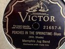 MEMPHIS JUG BAND VICTOR 21657 BLUES 78 RPM RECORD E