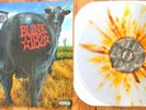 Blink 182 - Dude Ranch Vinyl LP Clear with Yellow/Brown Splatter New