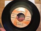 PAINTED SHIP Audience Reflections B/W  She Said Yes RARE GARAGE PSYCH 45