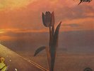 PRETTY THINGS LP, PARACHUTE (RARE EARTH US Issue NM/NM)