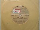 CELIA feat. ARTHUR VEROCAI - 1971 RARE SOUL JAZZ BOSSA GROOVE BRAZIL 7