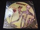 Nirvana Incesticide Picture LP Vinyl Record 2007