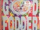 NED'S ATOMIC DUSTBIN God Fodder LP Pop Will Eat Itself The Wonderstuff Blur Gene