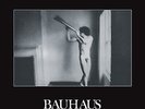 Bauhaus - In A Flat Field   Vinyl LP & CD New & Sealed