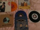 Pulp,shed seven gene longpigs 7