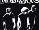 Grown Up, Fucked Up by The Reatards  Vinyl Lp Garage Lofi Punk Rock