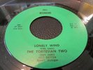 THE TORTESIAN TWO RARE HOWELL MICHIGAN FOLK PSYCH 45 DOLL LONELY WIND/RIVALRY