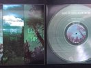If These Trees Could Talk Above the Earth Below the Sky Vinyl Translucent Green