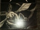 Metallica live  lp rar selten disposible heroes Loreley 1985 metal Hammer Festiv
