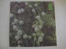 Rare Rolling Stones Russian 7