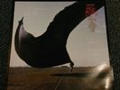 Pink Floyd high hopes keep talking NM VINYL record, Ltd ed blue etched vinyl