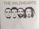 The Wildhearts Self Titled White Vinyl Gatefold Record Ginger LP RARE