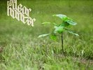 Dear Hunter - Act Ii: The Meaning Of & All Things Regarding Ms [Vinyl New]