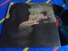 BEAU - Beau - Dandelion LP