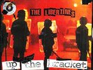 THE LIBERTINES Up The Bracket Vinyl LP 2007 (12 Tracks) NEW & SEALED