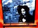 Jack White: Blunderbuss 180 Gram Vinyl LP. Lazaretto. White Stripes. Raconteurs.