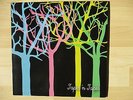 TAPES N TAPES THE LOON ORIGINAL LP VINYL XL RECORDINGS