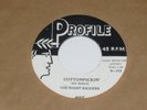 The Night Raiders - Cottonpickin' / Hidi Hidi Hidi Profile 1959 Mickey Hawks M-