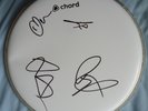 The Vamps Signed Drum Head/Drum Skin - Music Autograph, All Night, Oh Cecilia