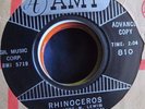 STAN ROBINSON Rhinoceros MONSTER R&B POPCORN MOD ROCKABILLY Amy Promo 45