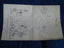 THE BEATLES SOUVENIR PROGRAMME - ANOTHER BEATLES CHRISTMAS SHOW 1964-65 CONCERT