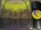 AMERICAN BLUES Do Their Thing ORIG. 1968 TEXAS PSYCH ROCK LP UNI Pre-ZZ TOP Z.Z.