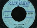 Termites - Do It Right Now / The Summertairs - Stay UK Coxsone 7