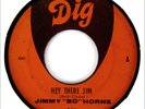 JIMMY BO HORNE 45 Hey There Jim / Don't Throw Your  DIG Rec Miami SOUL FUNK Hear