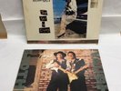 2 Stevie Ray Vaughn Records The Sky Is Crying & The Vaughn Brothers Family Style