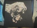 PIXIES death to the pixies,  4x10 inch  BOXSET + BOOKLET
