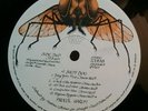Wrong label T.Rex BOLAN BOOGIE vinyl LP HI FLY 8 Procol Harum A Salty Dog label