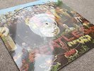? THE BEATLES SGT PEPPERS LONELY HEARTS CLUB BAND PHO 7027 PICTURE DISC PSYCH