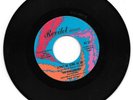 THE PARLIAMENTS - DON'T BE SORE AT ME - REVILOT - EXCELLENT  CONDITION