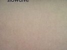 SLOWDIVE - Hide Yer Eyes LP - Black Vinyl - NEW COPY - I Saw The Sun Unreleased
