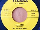 * TEA ARENA BAND Alianza /Feeling After Time Before GARAGE PSYCH Tierra 45 HEAR
