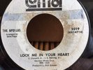 THE APOLLAS-YOU'RE ABSOLUTELY RIGHT/LOCK ME IN YOUR HEART-LOMA-USA-DEMO