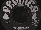 NAIROBI SISTERS - PROMISED LAND - FLAMES - ORIG PRESS RARE MINT REGGAE 45 7