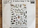 Chitinous Ensemble (Paul Buckmaster) - Rare Deram LP from 1971 - SML 1093
