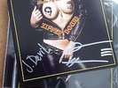 EAGLES OF DEATH METAL Zipper Down *SIGNED AUTOGRAPHED* Queens of the Stone Age