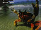 THE PRODIGY THE FAT OF THE LAND LP VINYL NEW 2001 2LP