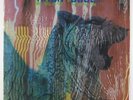 Amon Duul II - Wolf City LP - United Artists Shrink