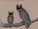 Neil Halstead Palindrome Hunches Vinyl LP Sealed w/download Slowdive