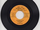 BOB SEGER (BEACH BUMS) Yellow Beret/Florida Time 45 MINT Garage Surf Omens RARE