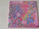 Flute & Voice – Imaginations Of Light lp