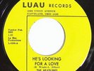 THE HEADLINES He's Looking For A Love 45 on Luau Rare Ohio Northern Soul M-