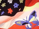AVALANCHES, The - Wildflower - Vinyl (2xLP + CD)
