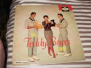 RARE LP    The Teddy Bears  